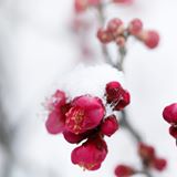 trattamenti olistici verona, hatha yoga verona