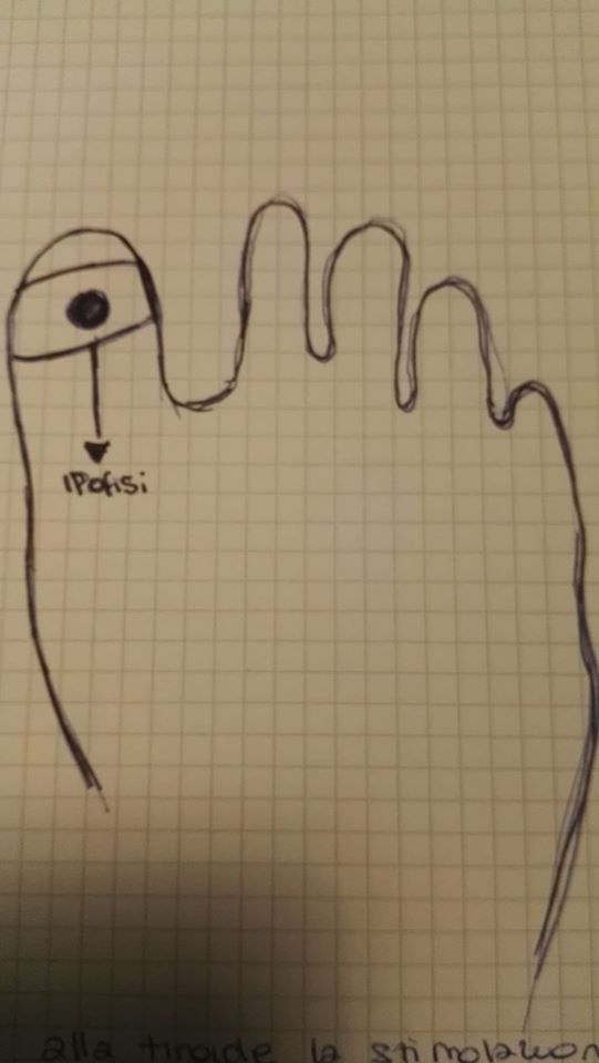 La riflessologia plantare e le funzioni ormonali